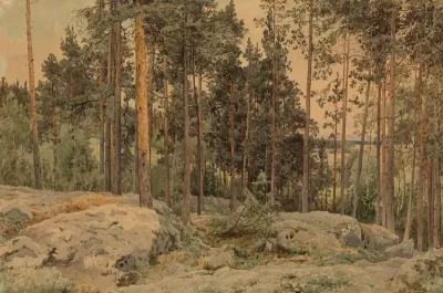 Männikkö lähellä järvenrantaa