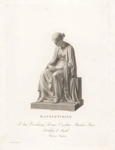 Mansuetudine