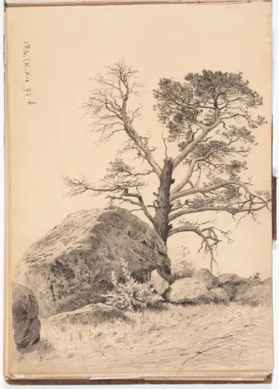 Mänty ja siirtokivi. Todennäk. 1880-luvun jälkipuol. Merk. o. a.: E. J.