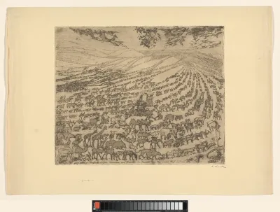 Map met vier lithografieën