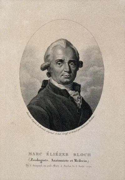 Marc Eliézier Bloch