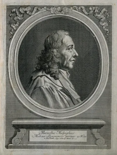 Marcello Malpighi