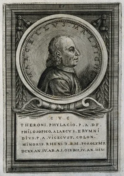 Marcello Malpighi