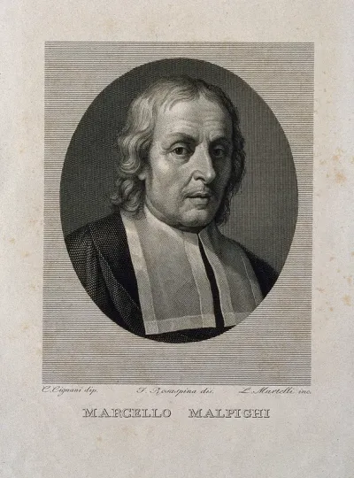 Marcello Malpighi