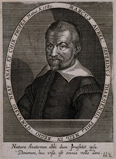 Marco Aurelio Severino