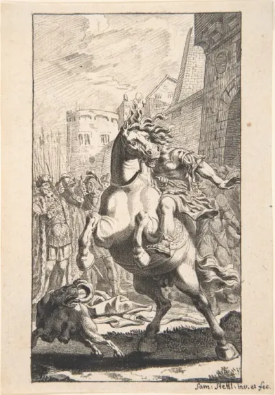 Marcus Curtius
