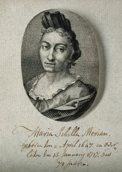 Maria Sybilla Merian