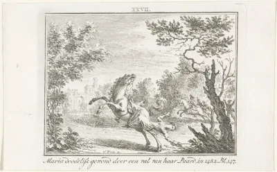 Maria van Bourgondië sterft na een val van haar paard, 1482