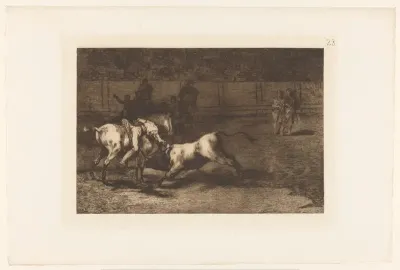 Mariano Ceballos doodt een stier