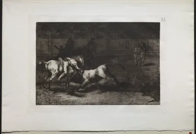 Mariano Ceballos Kills a Bull