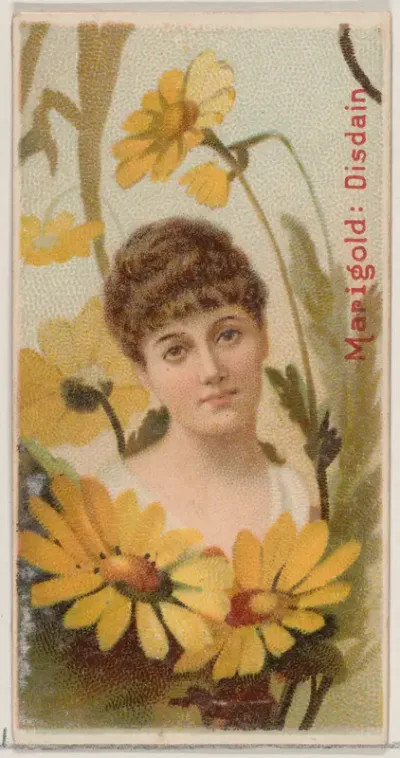 Marigold: Disdain, from the series Floral Beauties and Language of Flowers (N75) for Duke brand cigarettes