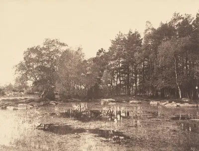 Marsh at Piat (Belle-Croix Plateau)