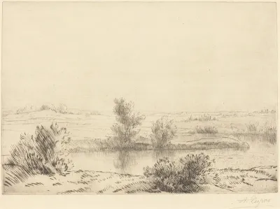 Marsh (Les marais)