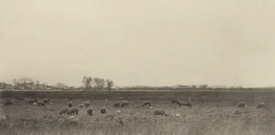 Marshes by the North Sea, 1890 1891, printed