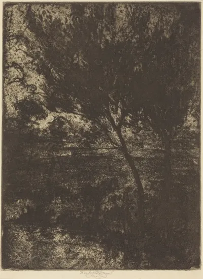 Marshlands