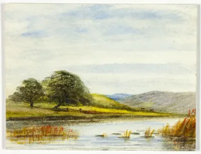 Marshy Landscape