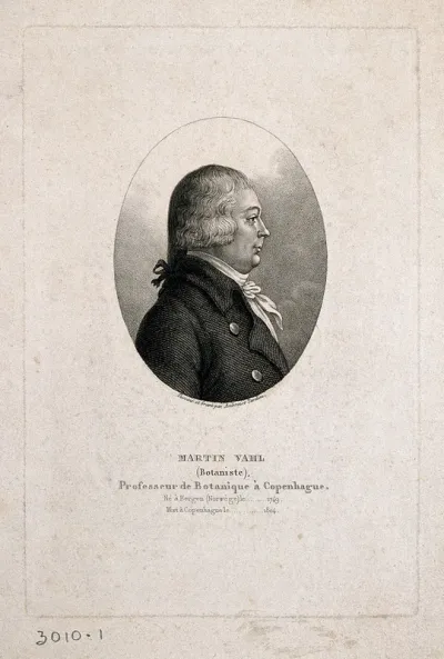 Martin Vahl. Stipple engraving by A. Tardieu after himself