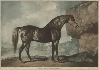 Mask aged 20