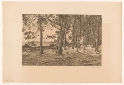 Mastbosch bij Garderen