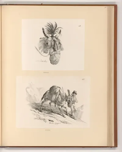 Maultierkopf; Beladenes Maultier