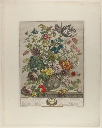 May, from Twelve Months of Flowers