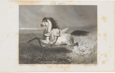 Mazeppa