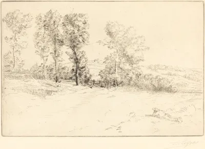 Meadow in Sunshine