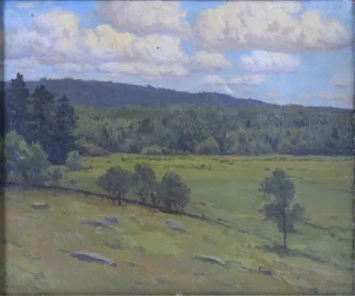 Meadow Landscape and Distant Mountains