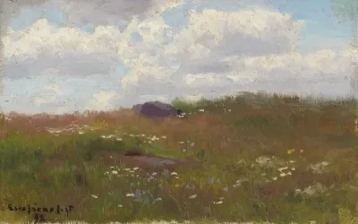 Meadow with Summer Flowers