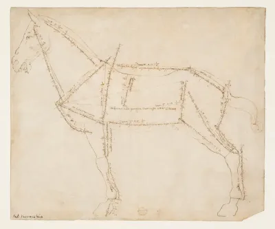 Measured Drawing of a Horse Facing Left (recto)