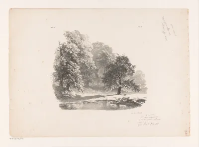 Meer in het bos