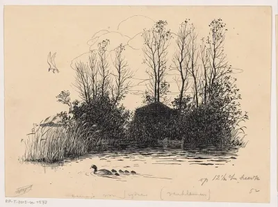 Meerkoet met jongen