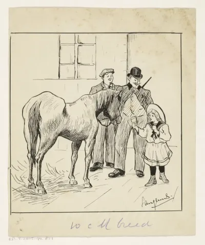 Meisje biedt een paard water aan
