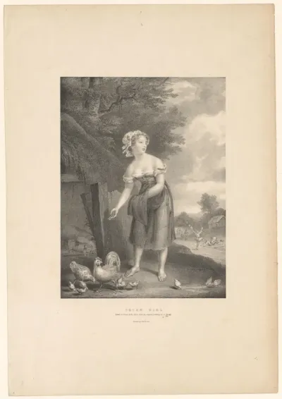 Meisje voert kippen