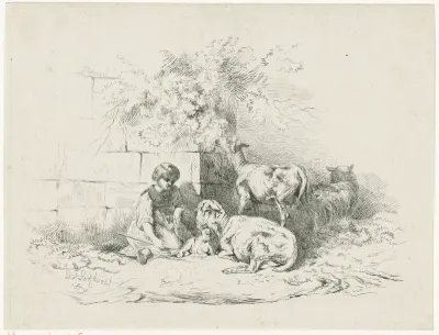 Meisje zittend bij schapen