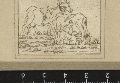 Melkende boerin