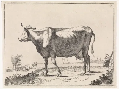 Melkkoe