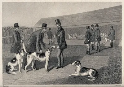 Men in top hats releasing their dogs from the kennels and preparing them for a race