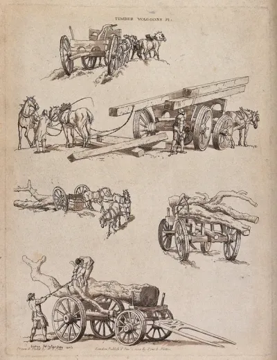 Men loading timber on to wagons, and horses pulling the wagons