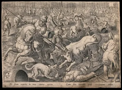 Men on horseback are goring bulls with spears, crowds of people are watching from the sidelines