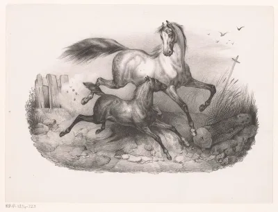 Merrie met veulen in galop