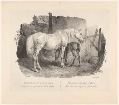 Merrie Primrose en haar veulen, raspaard van de hertog van Grafton