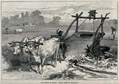 Methods of irrigation practised in India: use of bullocks to raise water from a well