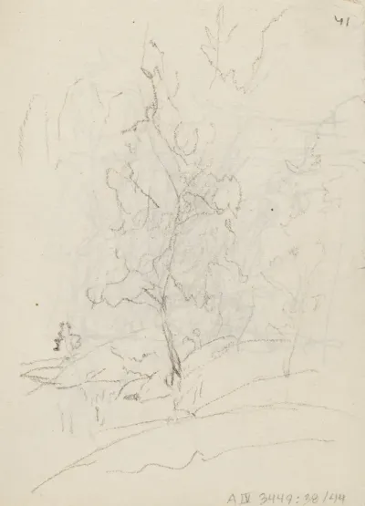Metsä