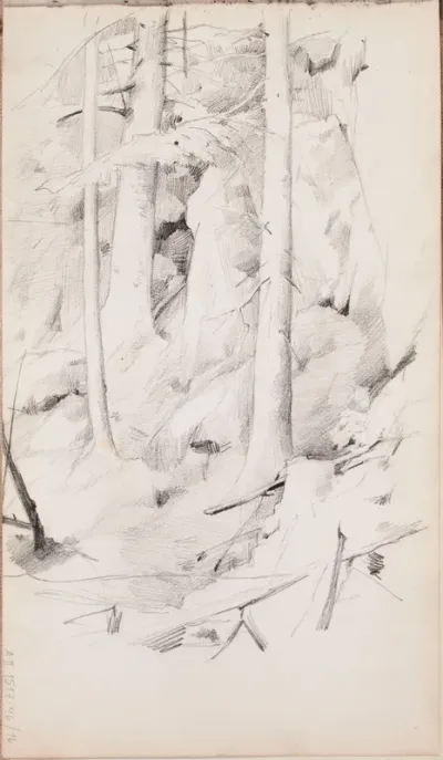 Metsä