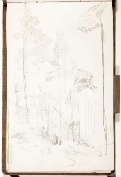 Metsää