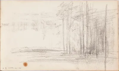 metsää