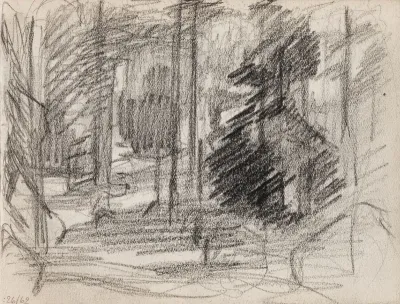 Metsää, luonnos