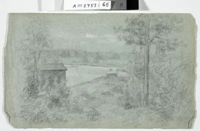 Metsäharjoitelma
