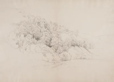 Metsäinen veteen laskeva rinne